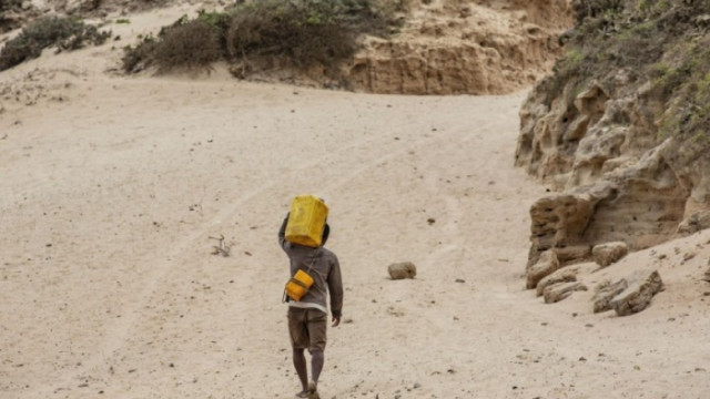 Един милион души са застрашени от гладна смърт на Мадагаскар