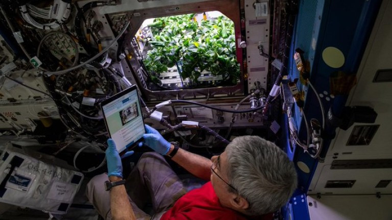 NASA се похвали с първите люти чушки, отгледани на МКС