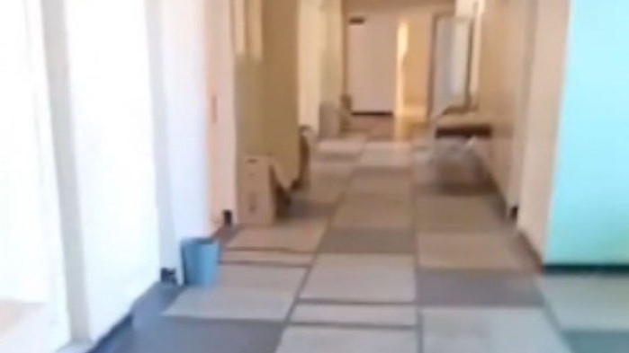 МЗ ще проверява фактите около скандалното видео от МБАЛ „Св. Петка“, Видин