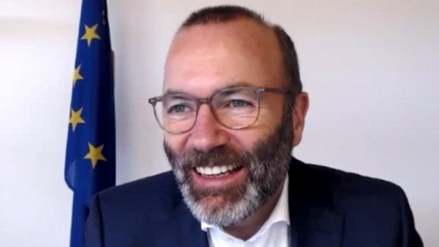 Радикалдемократическата партия Български демократически форум и други също подкрепиха проф