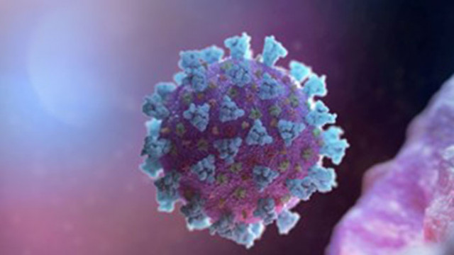 Словакия отчете 9171 нови случая на заразяване с коронавирус за