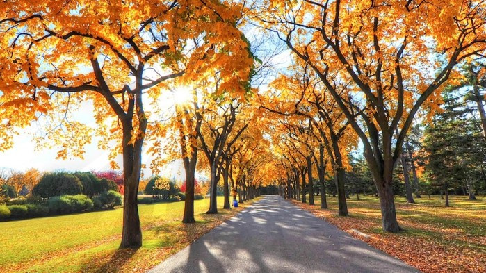 Днес ще е предимно слънчево, променлива облачност ще има по
