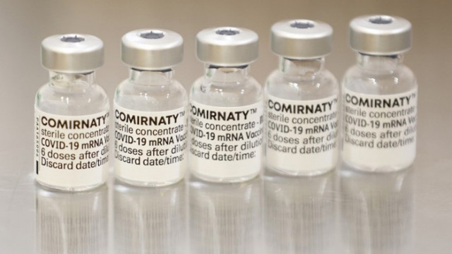 Европейският регулаторен орган одобри поставянето на ваксината на Пфайзер   на