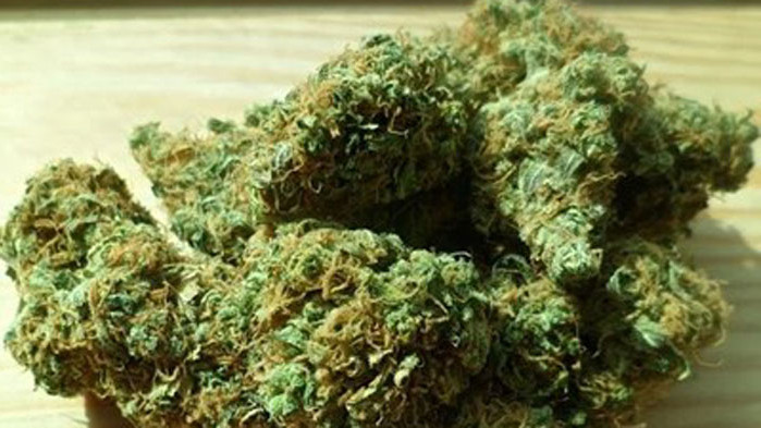 Всеки десети ученик в Добрич употребява марихуана
