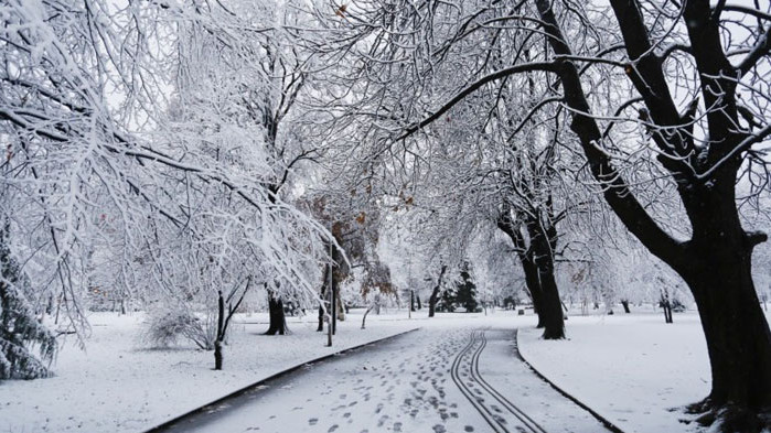 Общо 11 екипа на дирекция Аварийна помощ и превенция“ работят