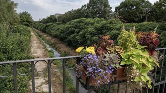 Експерти на Регионалната инспекция по околната среда и водите РИОСВ