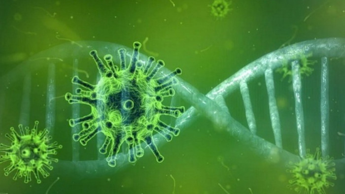 Не се потвърдиха съмненията за Омикрон у нас, съобщават от