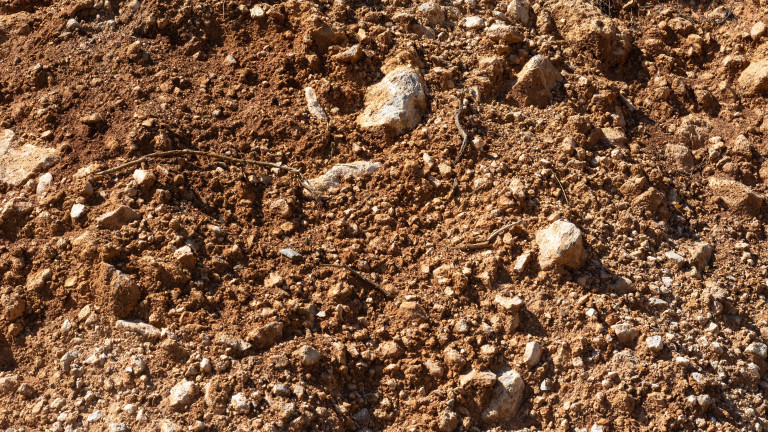 Натискът върху земята и водните ресурси се е увеличил и