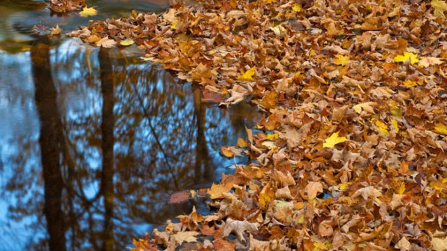 ОвенПрез този ден партньора или началника може да са в