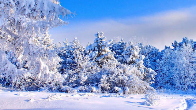 ОвенЗа Вас този ден няма да бъде толкова лош Ще