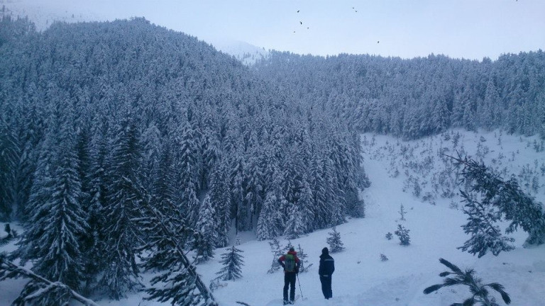 Планинските спасители помогнаха на двама туристи на Витоша