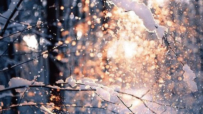 ОвенПрез този ден Вашият любим човек няма да разбира от