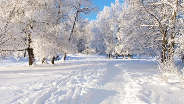 ОвенПрез този ден всяка промяна на изражението на лицето на