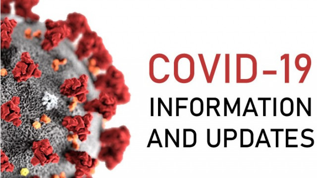 В единния информационен портал за COVID 19 за последното денонощие