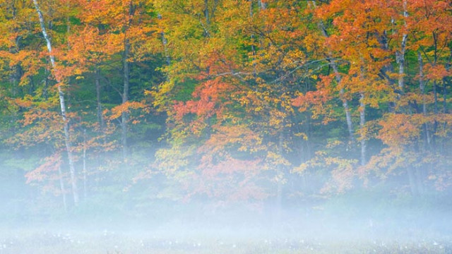 ОвенОтлично време за общуване и кратки пътувания Ако имате възможност