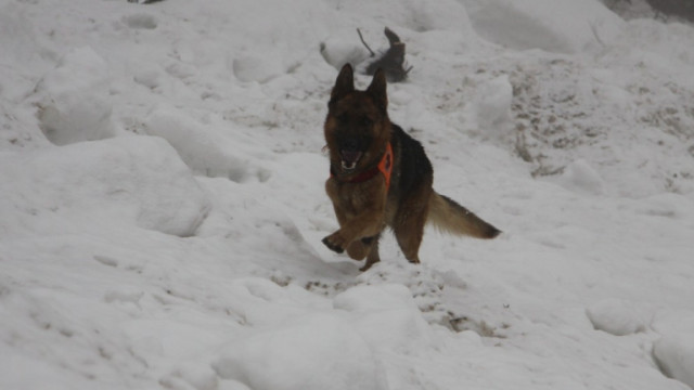 Двама от четиримата руски военнослужещи които са измъкнати изпод лавина в южноосетинския