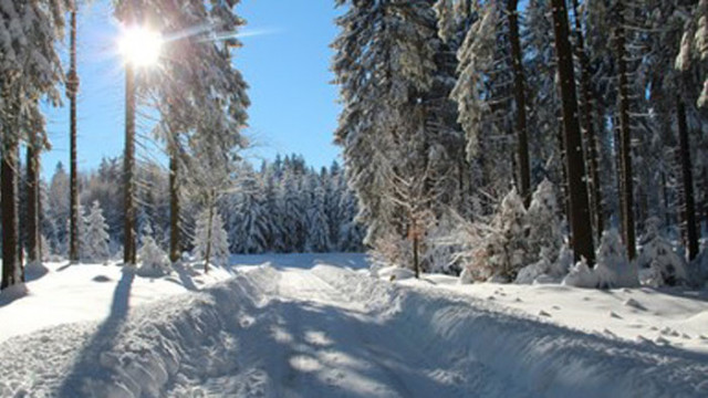 ОвенВ семейството на Овните почти всичко днес ще бъде хубаво