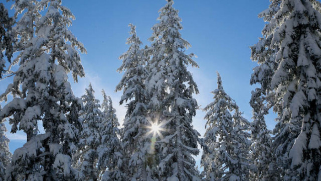 ОвенТози ден ще бъде свързан с приятни приятелски срещи почивка