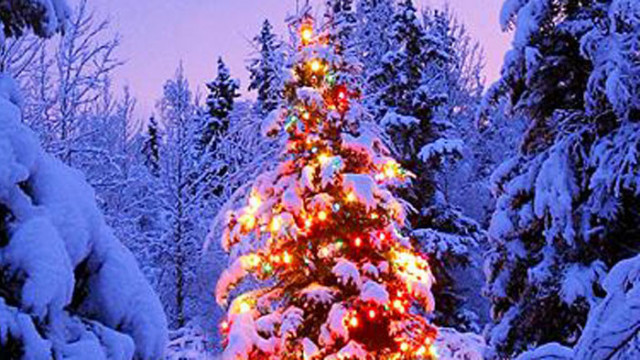 ОвенПрез този ден Вашият любим човек няма да разбира от