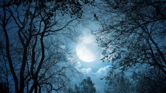 ОвенОвните за този ден трябва да си плануват тиха класическа