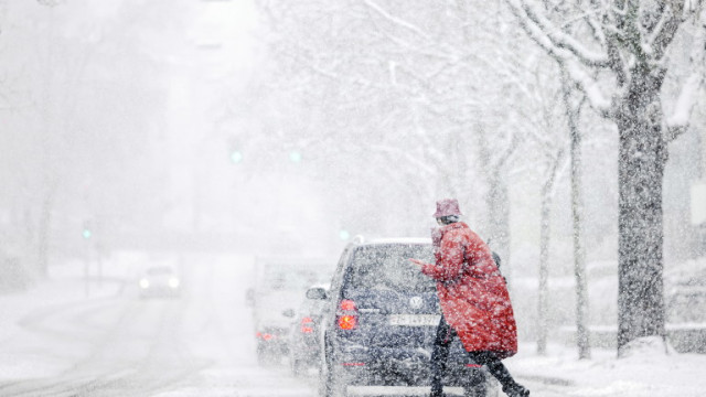 Силен снеговалеж блокира Централна и Западна Япония съобщават световните агенции