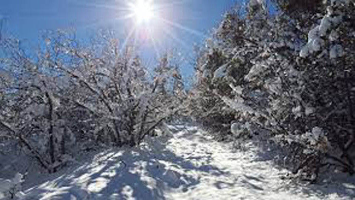 ОвенДенят обещава да стане приятен за вас. Чак до полунощ