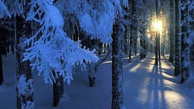 ОвенСитуацията днес ще бъде много забъркана и затова трябва да