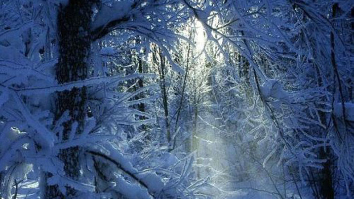 ОвенМоже да придобиете нещо, за което отдавна сте мечтали, или