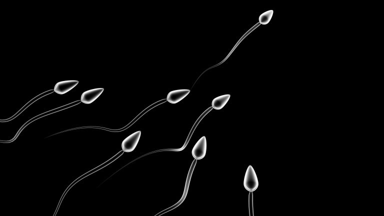 Изследователи установиха, че при някои мъже, прекарали COVID-19, качеството на спермата