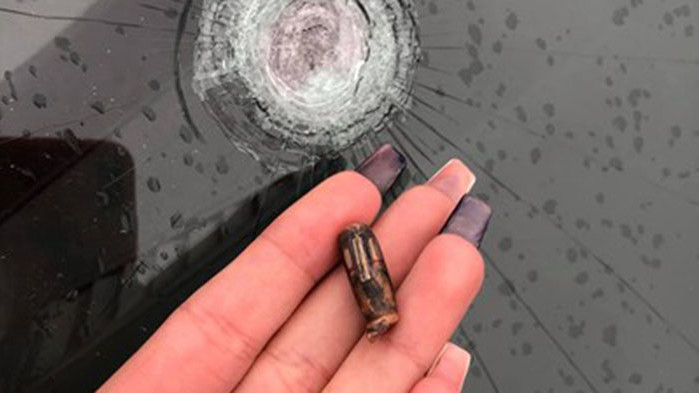 На една от водещите италиански експертки по имунология на коронавирусите