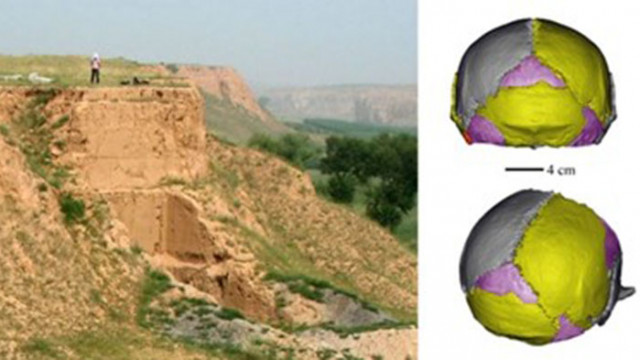 Проучване на международен екип учени ръководен от китайски археолози показа