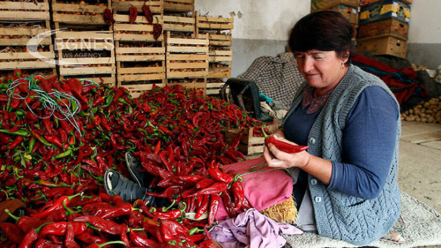 Българските червени чушки са сред продуктите които са изключително полезни