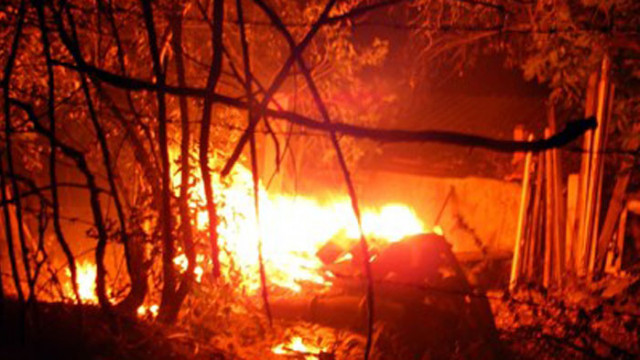 Горски пожар гори над село Осеново съобщиха от община Банско