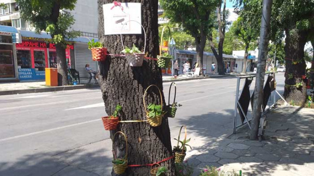 Търговци облагородиха част от улица „д-р Пискюлиев“ във Варна