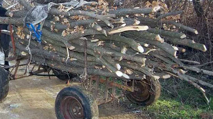 21 каруци, натоварени с незаконно добита дървесина, конфискуваха през януари