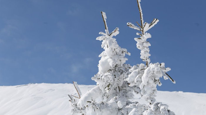 Днес до обяд валежите в северозападната половина от страната ще