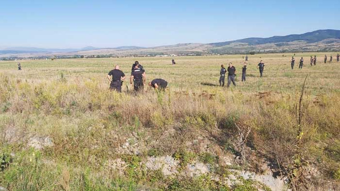 Полиция и жандармерия с кучета претърсват ожъната нива край Дупница
