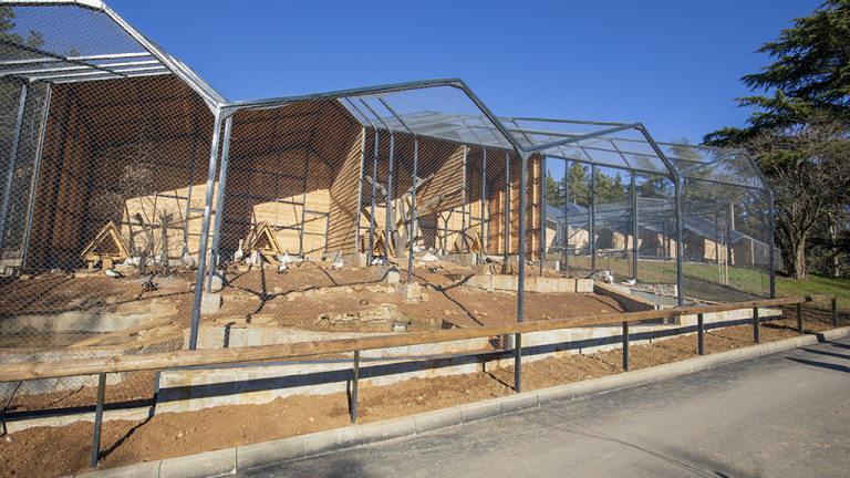 Маймунче се роди в Старозагорския зоопарк, съобщиха от общината. То