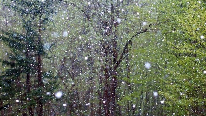 Преди обяд, с приближаващ към страната студен атмосферен фронт, югозападният