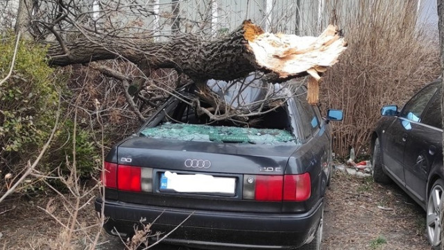 Ураганният вятър изпочупи дървета, рекламни табели и затвори улици във Варна