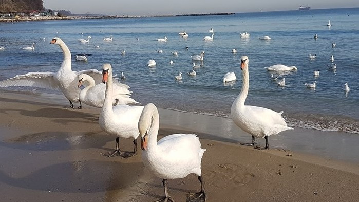 И днес ще е слънчево и много по-топло от обичайното