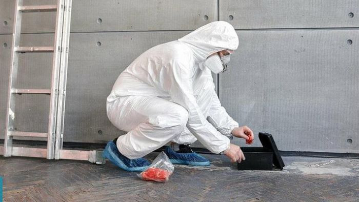 Започва дератизация на каналните шахти във всички райони на община Варна