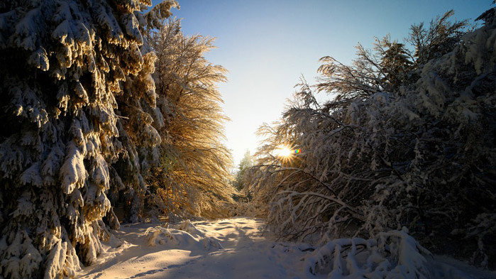 ОвенДнес за Вас ще се грижат много красиво и трогателно,