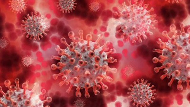 Възрастните хора заразени с новия коронавирус преди появата на ваксините