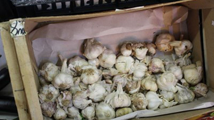 Чесънът колкото свинското - лютивият китайски заменен от гръцки и испански