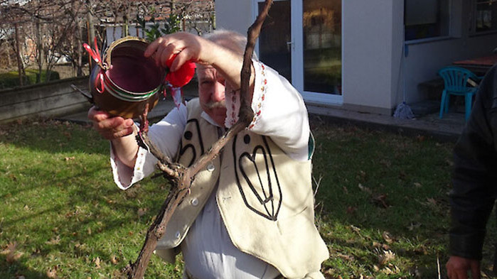 На 14 февруари празнуваме Трифон Зарезан или Деня на лозаря