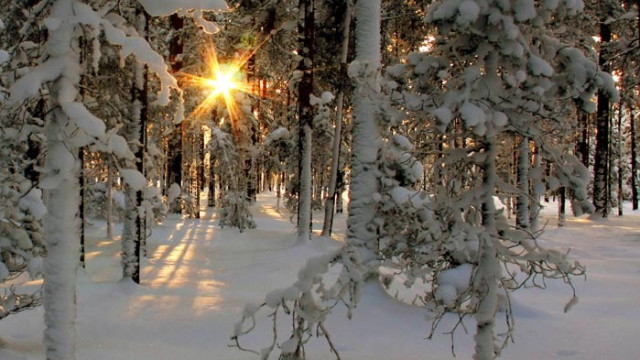 ОвенПонякога е доста трудно да бъдат разпознати новите идеи особено