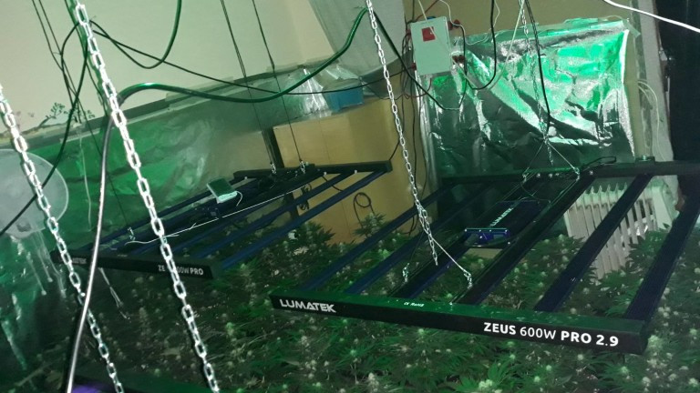 Варненец изградил оранжерия за отглеждане на марихуана в апартамент, който наел