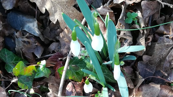 През нощта облачността ще се увеличава и утре ще бъде