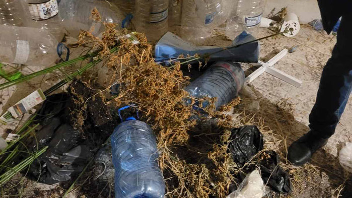 За по-малко от седмица, полицията разби втора оранжерия за марихуана във Варна